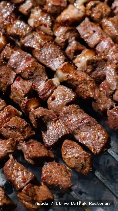 ASUDE ŞİŞ