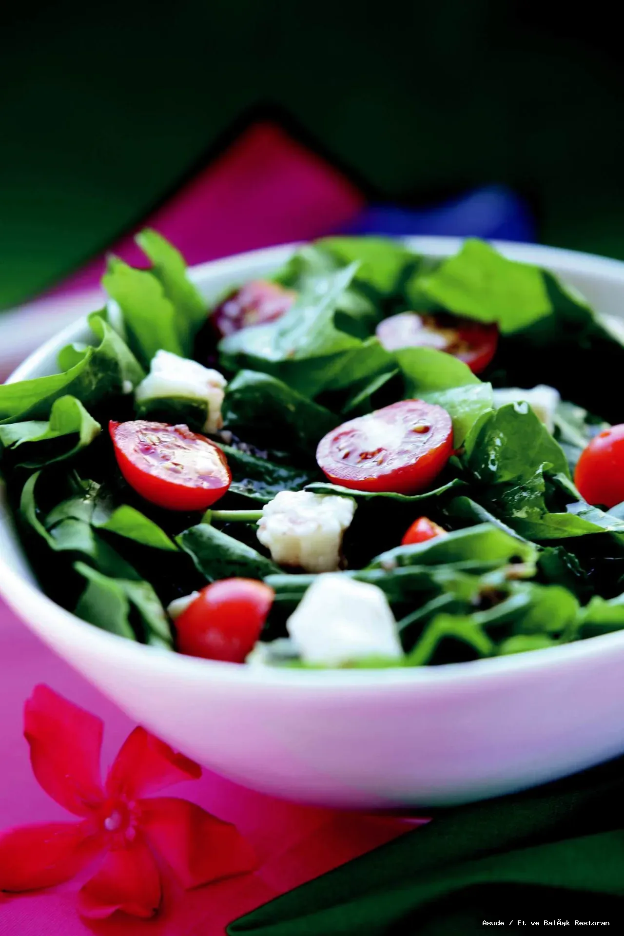 ROKA SALATA