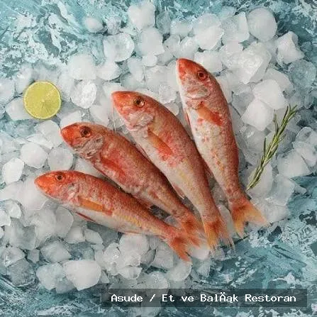 Barbun