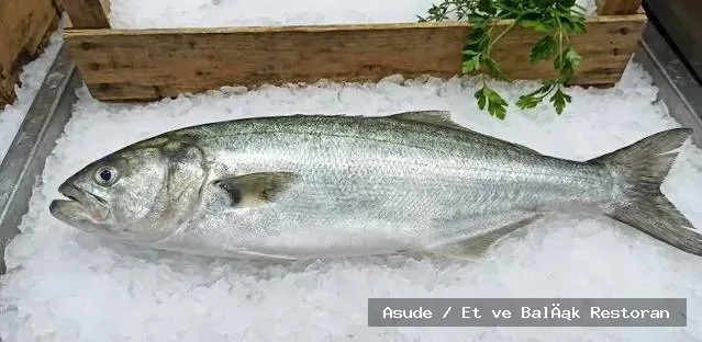 Lüfer