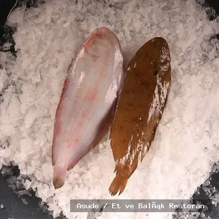 Dil balığı